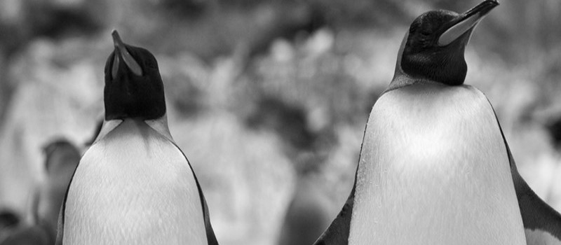 Managers and Investors survey